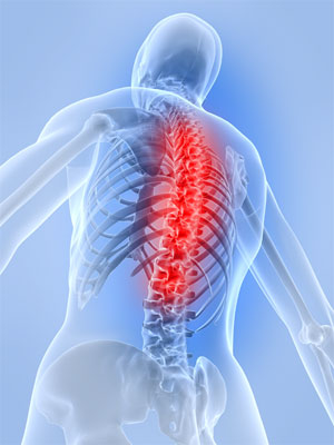 spine1
